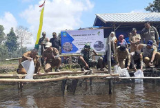 Wabup Beltim Tebar Benih Ikan, Khairil Minta Pokdakan Kompak