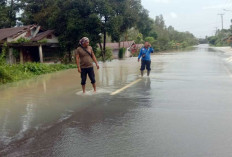 Banjir di Desa Cerucuk Mulai Surut, 31 Rumah Warga Terdampak