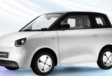 Wuling Luncurkan Merek Mobil Baru, Bidik Kawula Muda Pecinta Kendaraan Listrik