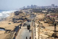 Kontribusi Indonesia Bagi Solusi Palestina