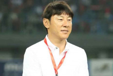 Rumor Shin Tae-yong ke Korea Selatan Dibantah, Ini Bocoran 2 Nama Pelatih Incaran KFA