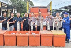 Modus Baru Penyelundupan Timah Terbongkar, 10 Ton di Balik Udang