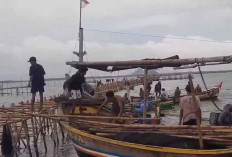 Kementerian ATR/BPN Audit dan Cabut 50 Sertifikat Tanah di Kawasan Pagar Laut Tangerang