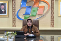BPS: Program MBG Berkontribusi Dorong Pertumbuhan Ekonomi 2025