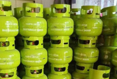 Pertamina Siap Jalankan Program LPG 3 Kg Satu Harga Mulai 2026