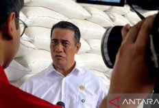 Harga Beras SPHP Tidak Naik, Pembelian Maksimal 5 Pak per Konsumen