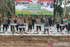 Polda Babel Hijaukan 50 Hektar Lahan Tidur, Dukung Program Asta Cita Presiden