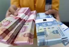 Bank BUMN Lakukan Pemetaan dan Klasifikasi Debitur untuk Penghapusan Utang UMKM