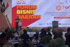 Kemendag Lakukan Optimalisasi Rantai Pasok Sebagai Solusi Pengurangan Disparitas Harga dan Akses Pasar 