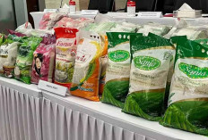 Beras Cap Rambutan dan Mawar Sejati Terbukti Oplosan, 4 Ton Disita Polisi