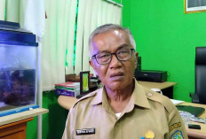 Stok Daging Sapi di Belitung Aman, Cukup untuk Kebutuhan Lebaran