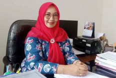 Realisasi Investasi di Belitung Terus Tumbuh, Ini Sektor yang Mendominasi