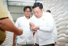 Bapanas Pastikan Kualitas Stok Beras di Gudang Bulog Sesuai Standar