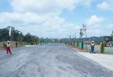 Pembangunan Jalan TOL Balikpapan-IKN Dikebut, Waktu Tempuh Kurang dari 1 Jam