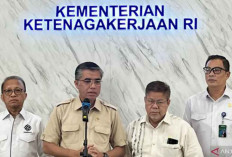 Kuota Magang Nasional 2026 Naik Jadi 150 Ribu Peserta, Batch I Dibuka Juli