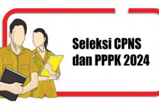 Seleksi CPNS dan PPPK 2024, Peluang Bagi Talenta Berbakat Bidang Digital
