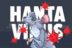 Waspada Hantavirus, Kenali Gejala Awal hingga Cara Mencegah Penularannya