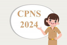 12 Kementerian Umumkan Kouta Formasi CPNS 2024