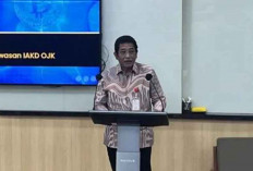 Transaksi Kripto Tembus Rp52,7 Triliun, OJK Sebut Sudah Jadi Gaya Hidup Finansial