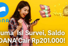 Auto Cuan! Pengguna Klaim Dapat Rp201.000 Cuma dari Isi Survei Online 2025