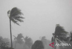 Waspada La Nina Ancam Indonesia, Warga Babel Diingatkan Hujan Lebat dan Badai November?