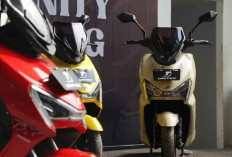 Pemerintah Lanjutkan Subsidi Motor Listrik Rp 7 pada 2025, Tinggal Tunggu Regulasi PMK