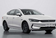 BYD Luncurkan Linghui, Sub-Brand Khusus Ride-Hailing untuk Jaga Citra Premium