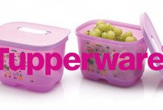 Tupperware: Dari Brand Ikonik ke Ambang Kebangkrutan di Usia 78 Tahun