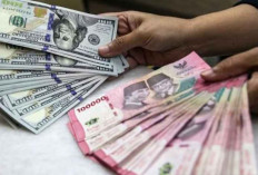 Rupiah Menguat, Ditopang Kenaikan Harga Pertamax dan Suku Bunga BI