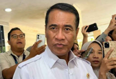 Harga CPO Dunia Naik, Prabowo Minta Harga TBS Sawit Naik 10 Persen