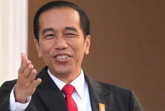 Presiden Jokowi Tegaskan Janji Terpenuhi, Indonesia Berhasil Kuasai Freeport