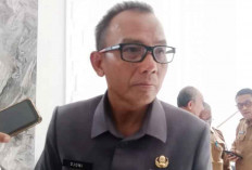  Populasi Anjing Liar di Belitung Kian Meresahkan, Bupati Gandeng Komunitas Pecinta Hewan Cari Solusi