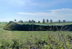 Benteng Alam Tsunami di Selatan Jawa Tergerus, BRIN Ingatkan Ancaman Bencana Besar