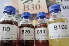 Minyak Jelantah Indonesia yang Diolah jadi Biofuel Lebih Laku Dijual ke Luar Negeri