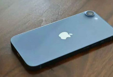 iPhone SE Terbaru Dirumorkan Jadi iPhone 16E, Siap Diluncurkan Maret 2025