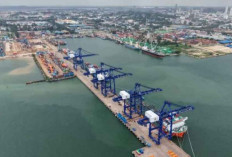 BACT Gelontorkan Investasi 85 Juta Dolar AS untuk Modernisasi TPK Batu Ampar Batam