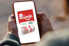 Simulasi Angsuran Pinjaman Rp10 Juta Pinjol Pinjamin 2025, Cek Cicilan dan Cara Ajukan