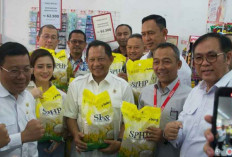 Berapa Persentase Ideal Cadangan Beras Pemerintah?