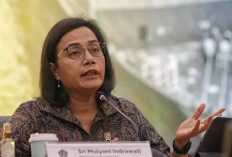 Ditanya Mengenai PPN 12 Persen, Sri Mulyani Menjawab: 'Pak Menko Airlangga yang Akan Menyampaikan'