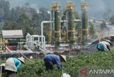 Posisi Strategis Gas Bumi dalam Transisi Energi