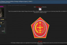 Serangan Siber Ransomware PDN Belum Tuntas, Data BAIS TNI dan Inafis Polri Juga Bocor dan Dijual di Dark Web