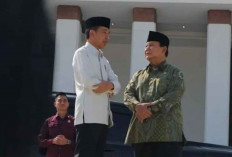 Presiden Jokowi Bakal Gelar Sidang Kabinet Paripurna Kedua di IKN