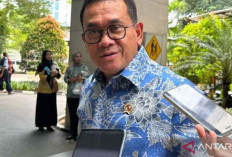 Mendag Sebut Malaysia Belum Ajukan Permintaan Impor Beras