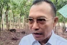 BP Taskin Lakukan Monitoring Kemiskinan Akibat Bencana di Sumatera