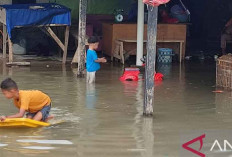 Waspada Banjir Rob di 4 Kelurahan Pangkalpinang