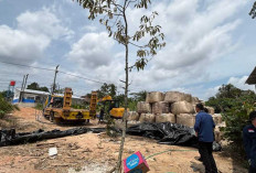 Nasib Isi Gudang PT SIP Jadi Misteri, Antrasit Disita Balik ke Gudang
