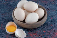 5 Manfaat Telur Bebek bagi Kesehatan jika Dikonsumsi Seminggu Sekali