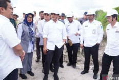 DPR RI Soroti Reklamasi Lahan Tambang Timah di Bangka Belitung, Dorong Percepatan Pemulihan Lingkungan