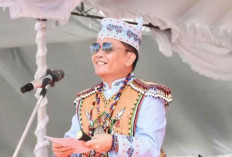 Investasi di Kalteng Tembus Rp12,4 Triliun per Semester I-2025, Masih Dihadang Kendala Pelaporan