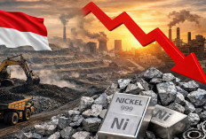 Pemerintah Berencana Kurangi Kuota Produksi Tambang Batu Bara dan Nikel di 2026